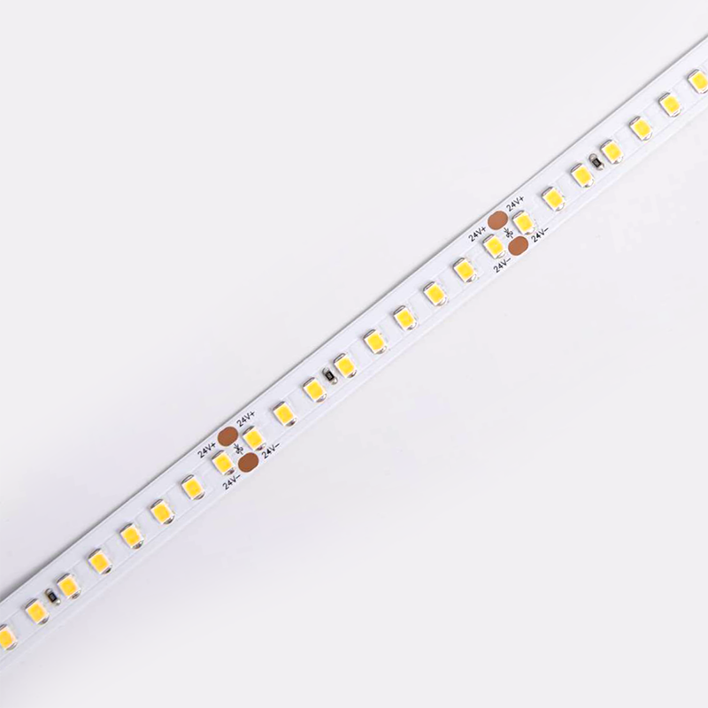 D8144-24V-10mm